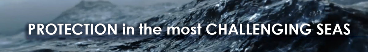 Quantum Stabilizers – protection in the most challenging seas Quantum Stabilizers - protection in the most challenging seas